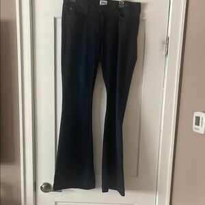 Hudson Jeans Midnight Flare